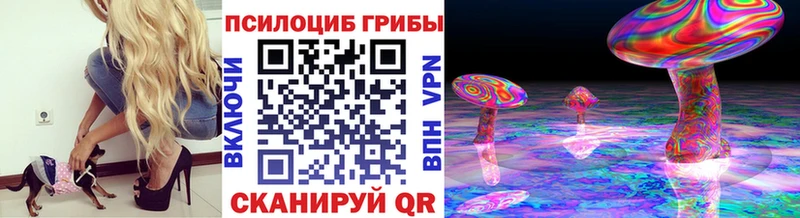 blacksprut ссылка  Нижний Новгород  Псилоцибиновые грибы GOLDEN TEACHER 